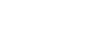 Gefördert durch die Deutsche Stiftung für Engagement und Ehrenamt